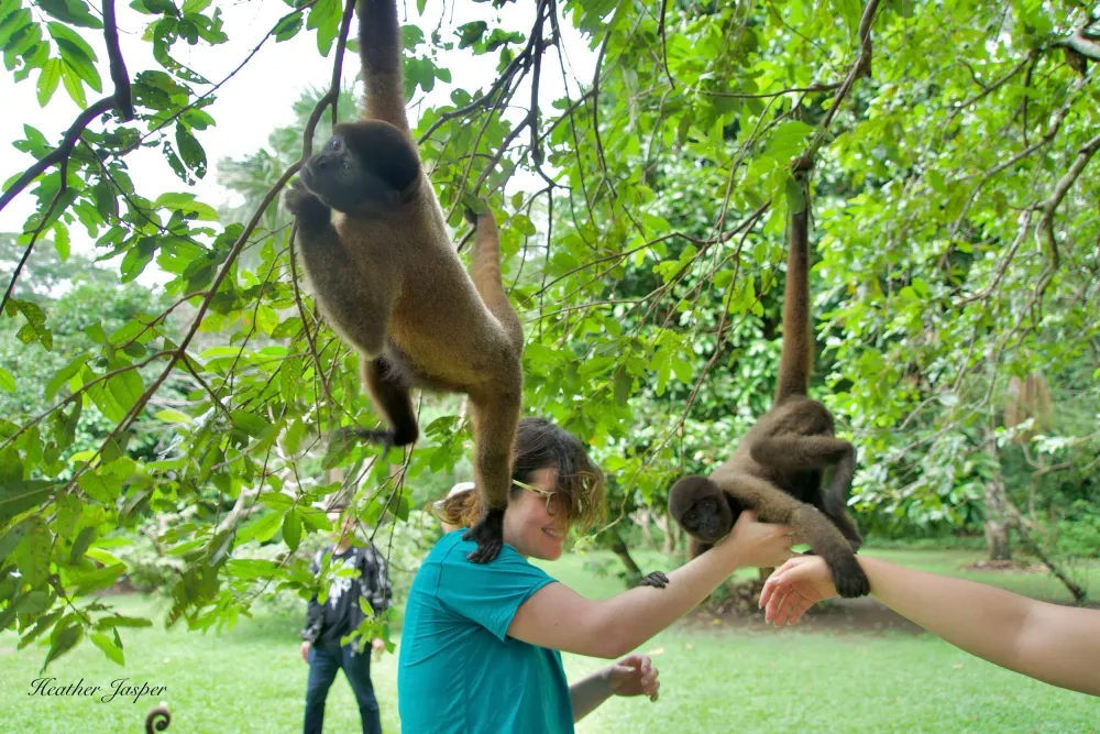 Centro de primates y retorno a Iquitos