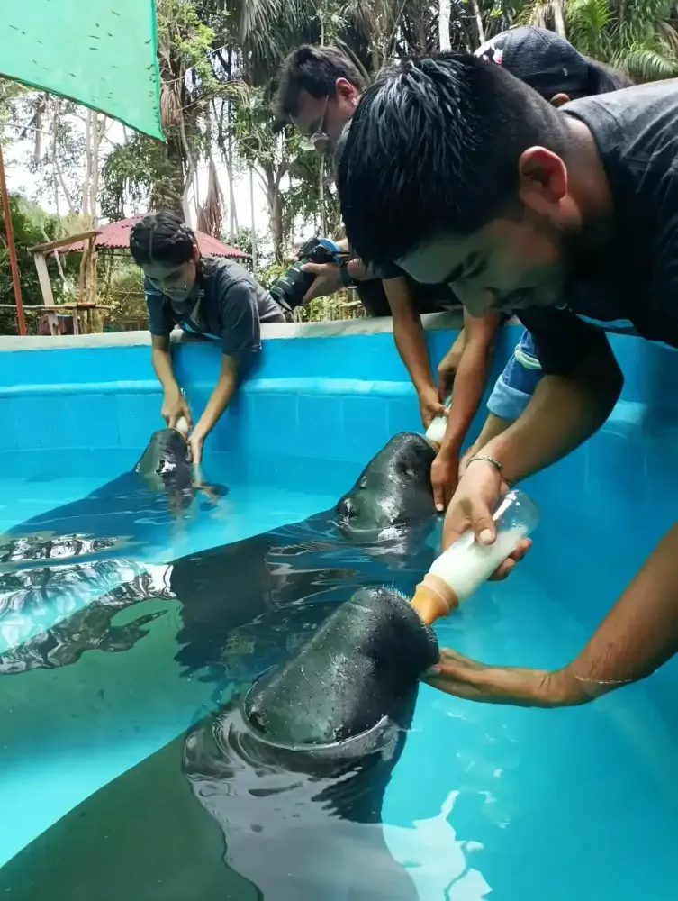 Isla Bonita Full Day en Iquitos