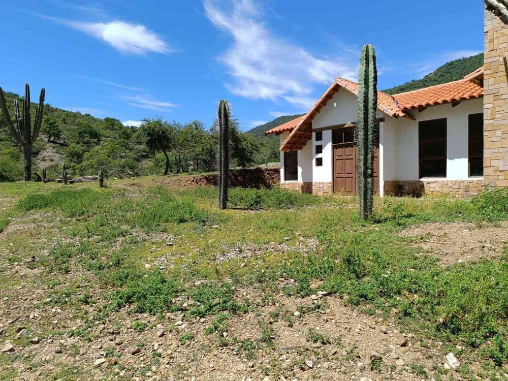 Monte Villca Full Day: Natureza, Caminhada e Cultura Andina