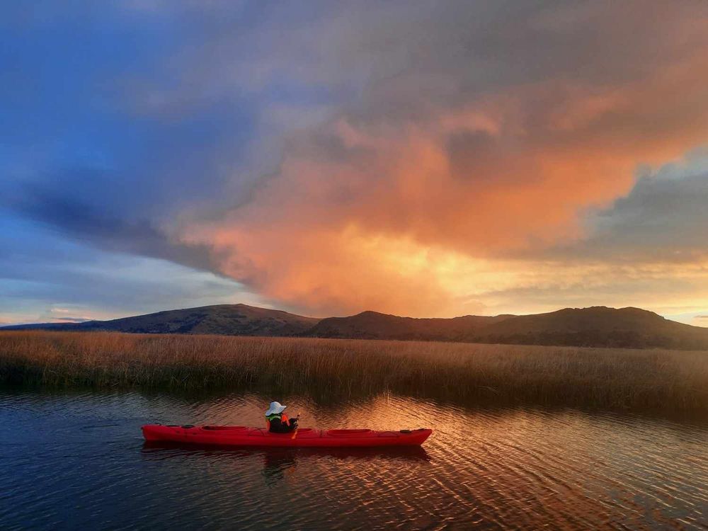 Recojo y preparación en Puno