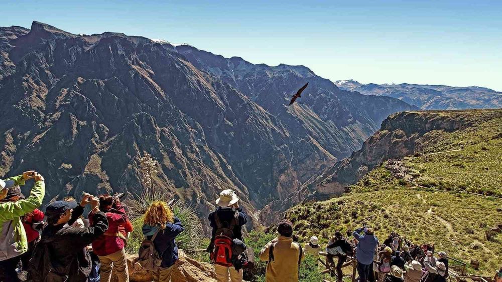 mirador-canon-colca