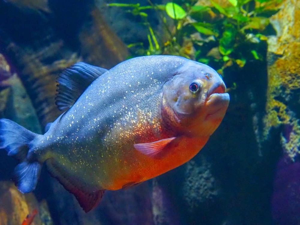 Calm lake and return