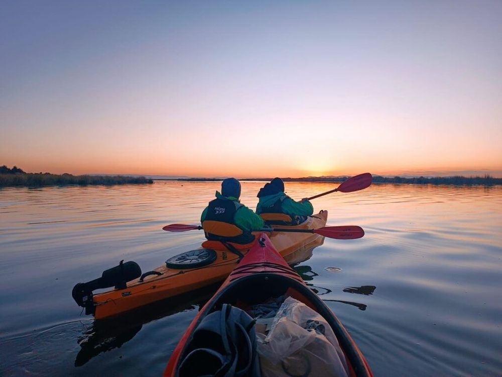 Recojo y preparación en Puno