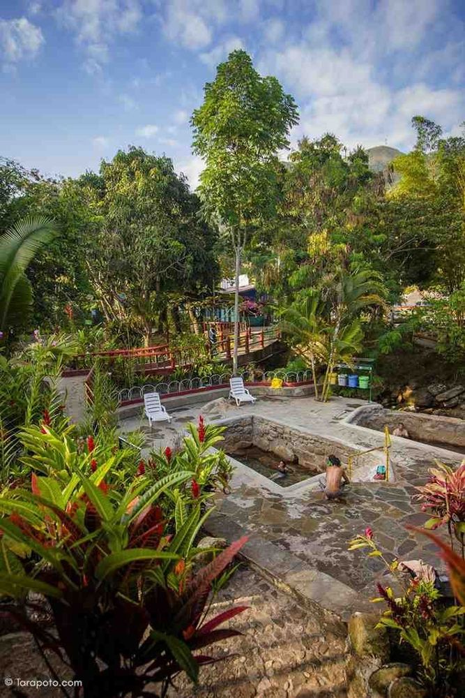 Alto Mayo, Moyobamba and Rioja Full Day