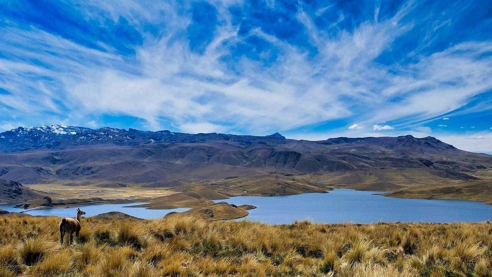 Tour Arequipa a Puno 2 días vía Cañón del Colca