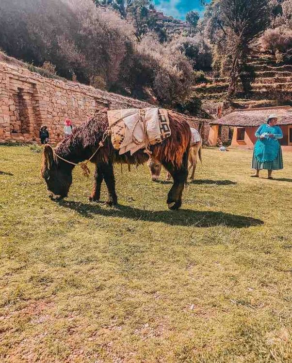 Sun and Moon Island Tour 2D/1N