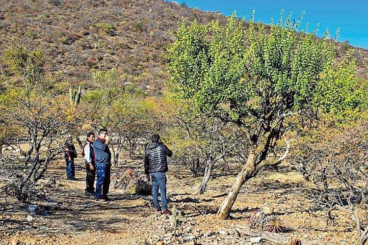 Explicação e caminhada guiada em Monte Villca