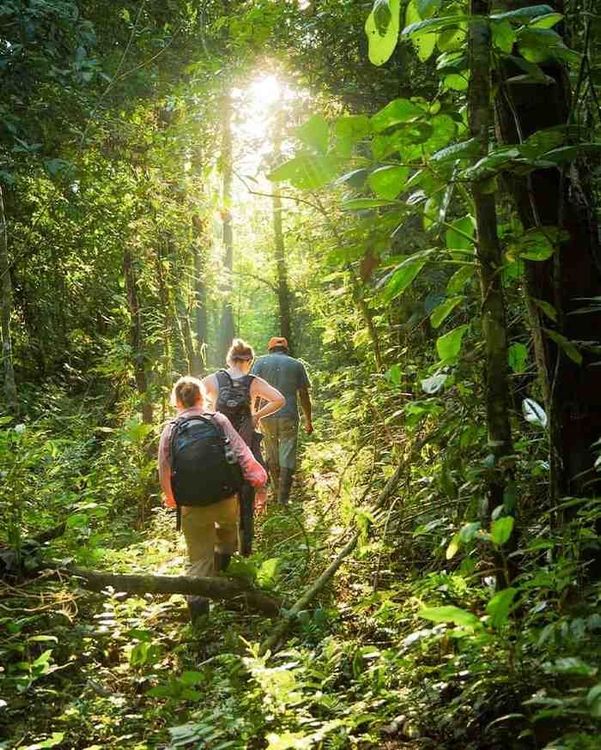 Tambopata National Reserve 4D3N