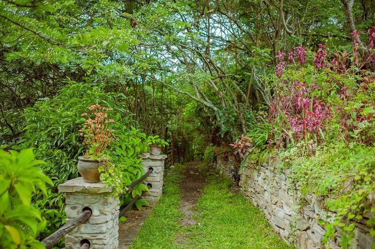 Maray – Kuélap – Milpuj