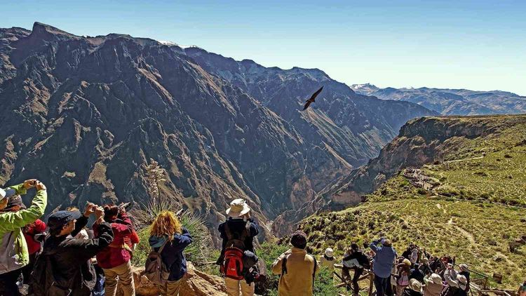 mirador-canon-colca