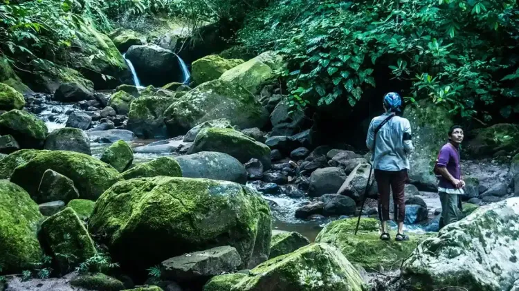 Waterfall or natural viewpoint