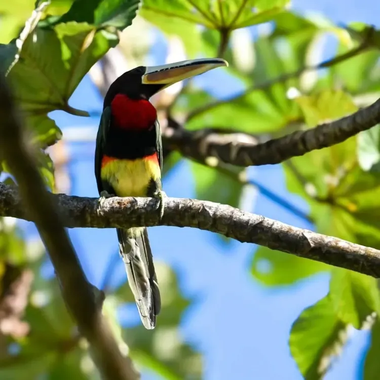 12:00 – Box lunch in nature