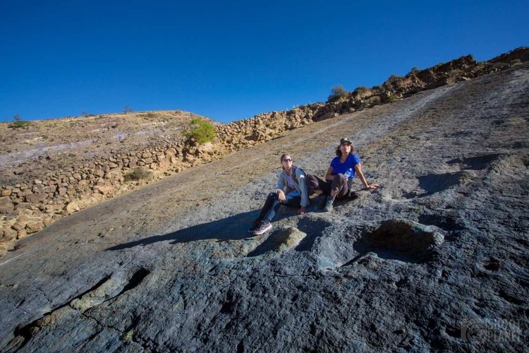 Regreso con parada panorámica