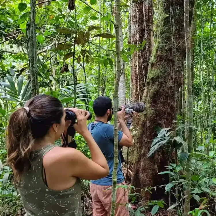 Trekking through natural trails