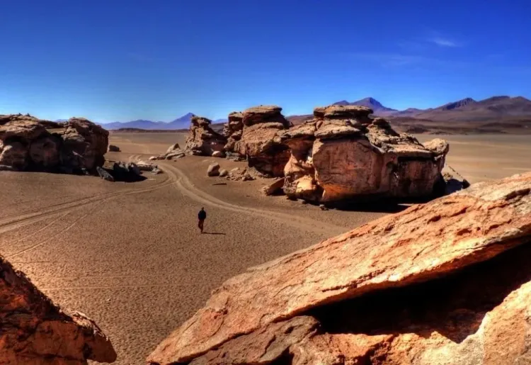 San Juan – Lagunas Altiplánicas – Laguna Colorada