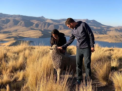 Puno - Cañon del Colca - Arequipa 2D